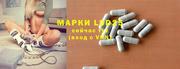 apvp Аркадак