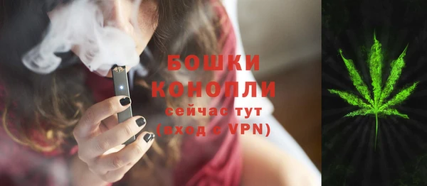 apvp Аркадак