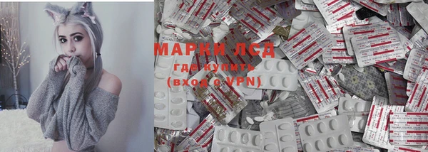 apvp Аркадак