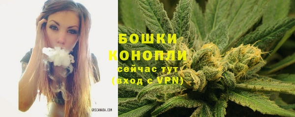 apvp Аркадак