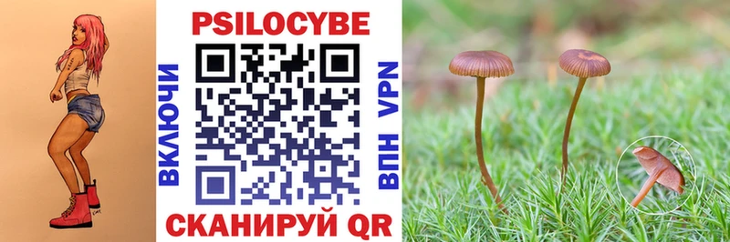 Псилоцибиновые грибы MAGIC MUSHROOMS  ОМГ ОМГ рабочий сайт  Усолье 